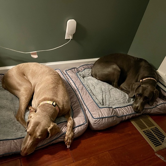 Bundle and Save! - Picture 6 of 12